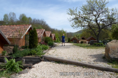 SAM_0766
