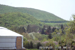 SAM_0767