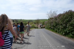 SAM_0771