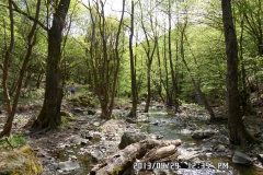 SAM_0786