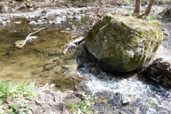 SAM_0788
