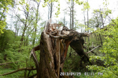 SAM_0797
