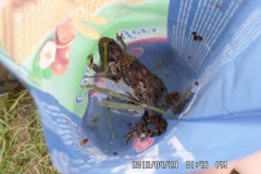 SAM_0798