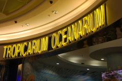 Tropicarium_Csodak-Palotaja-60