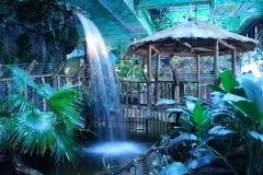 Tropicarium_Csodak-Palotaja-64