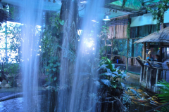 Tropicarium_Csodak-Palotaja-65
